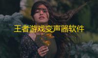 王者游戏变声器软件